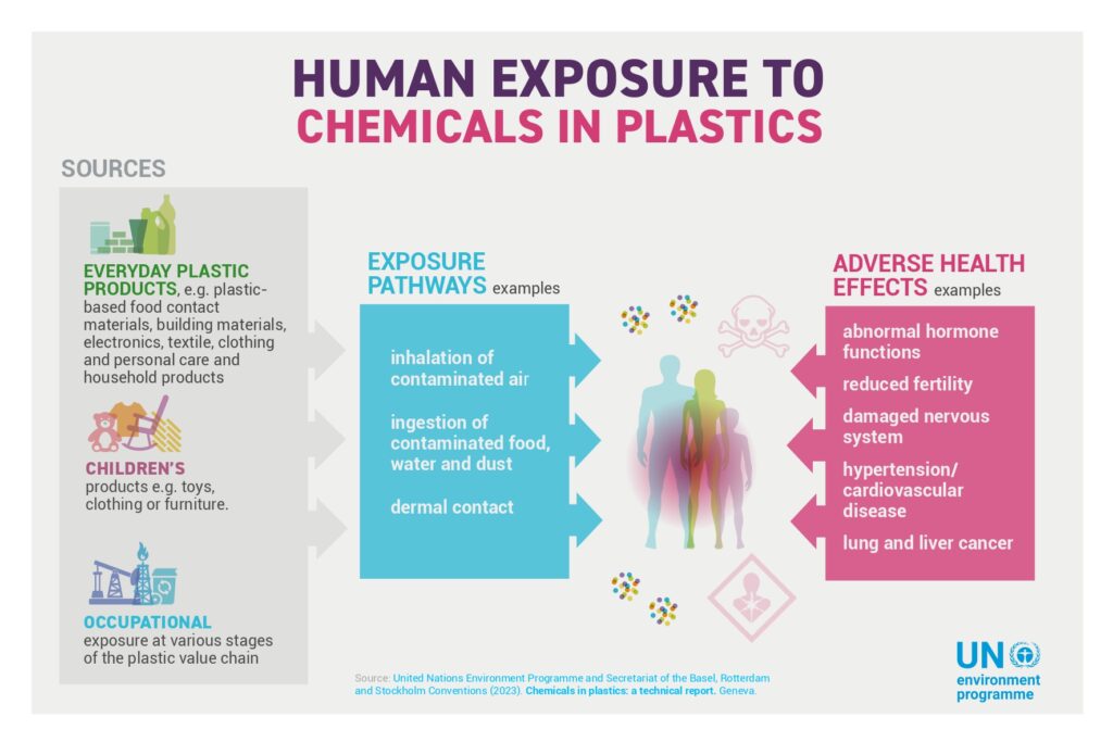 Chart of how exposure to chemical in plastics affect humans